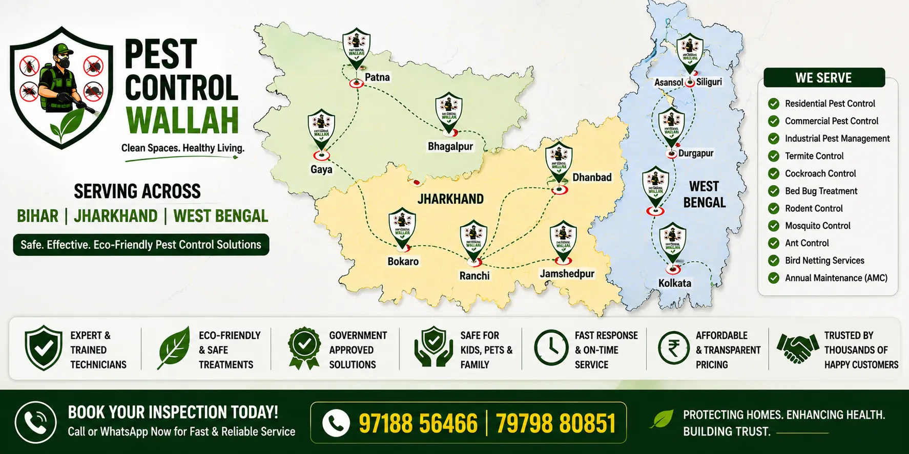 Professional Pest Control Services in Circular Road, Ranchi