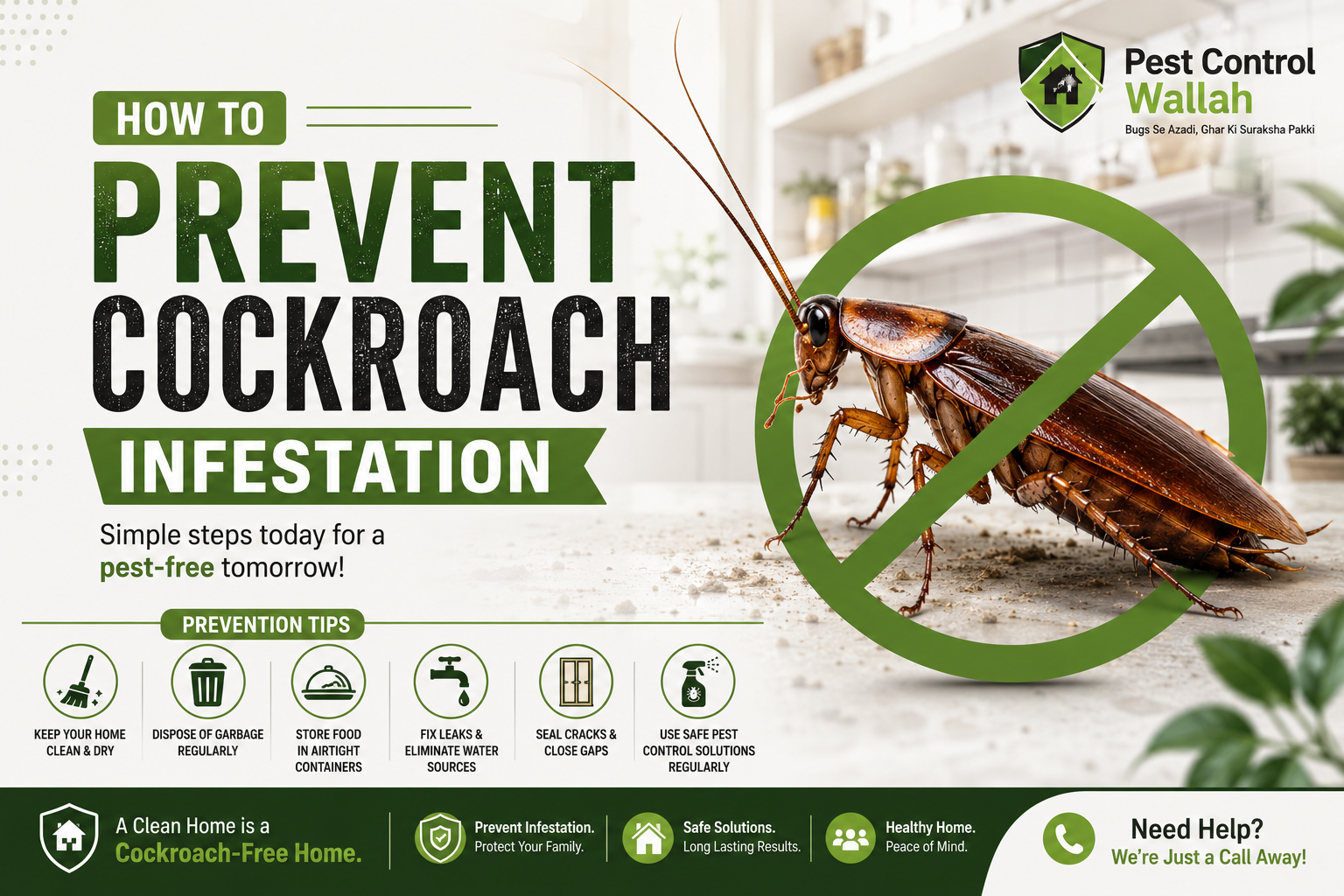 How to Prevent Cockroach Infestation
